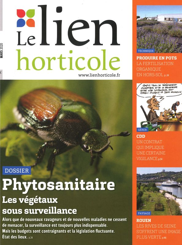 LIEN HORTICOLE (LE)