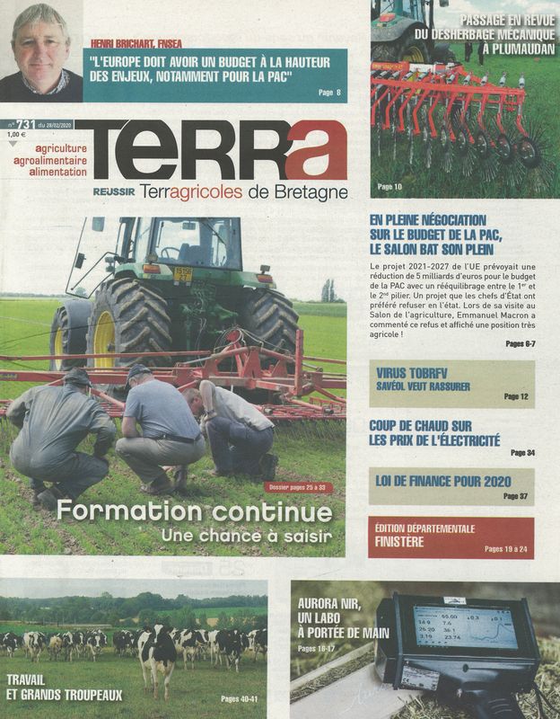 TERRA