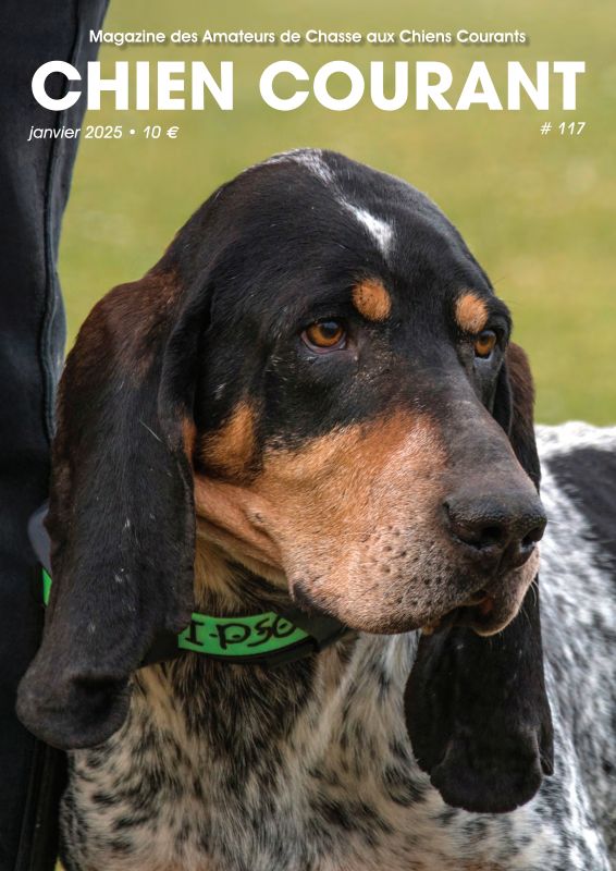 CHIEN COURANT